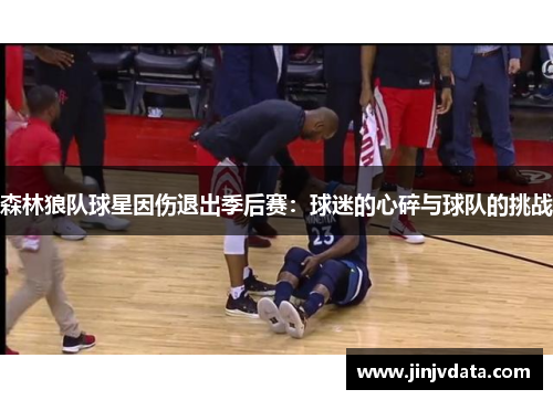 森林狼队球星因伤退出季后赛：球迷的心碎与球队的挑战
